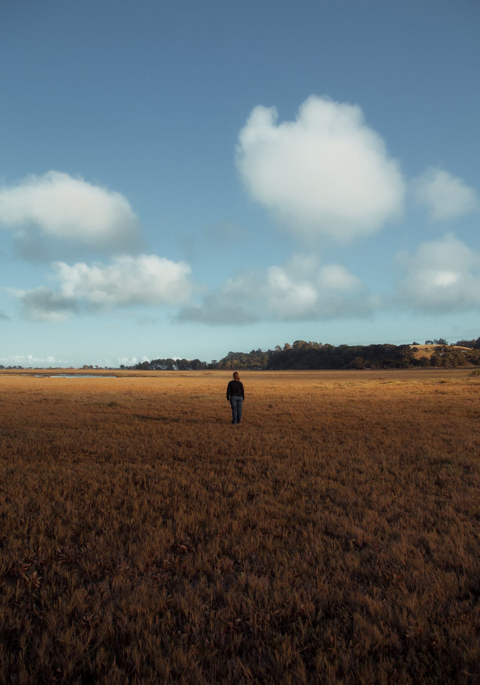 Landscape & Travel