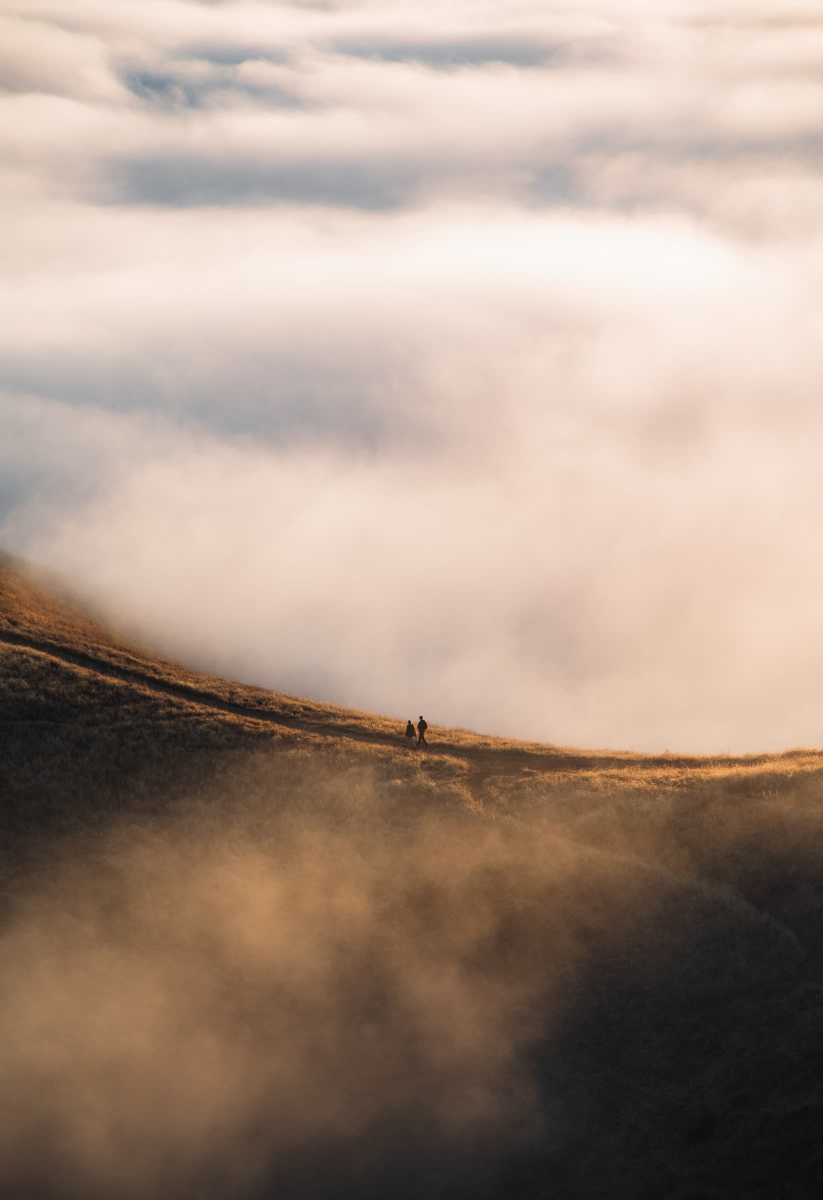 Landscape & Travel