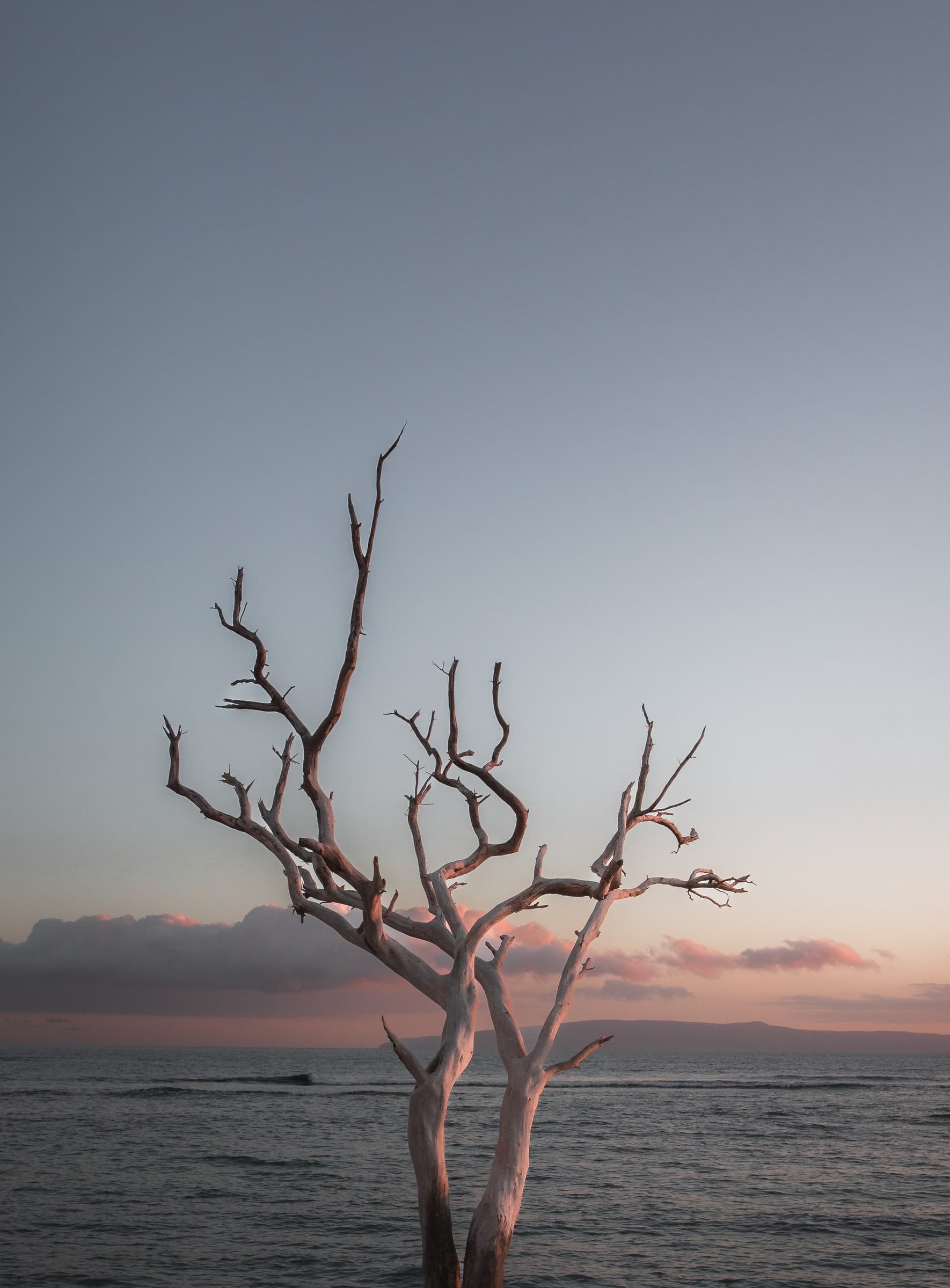 Landscape & Travel