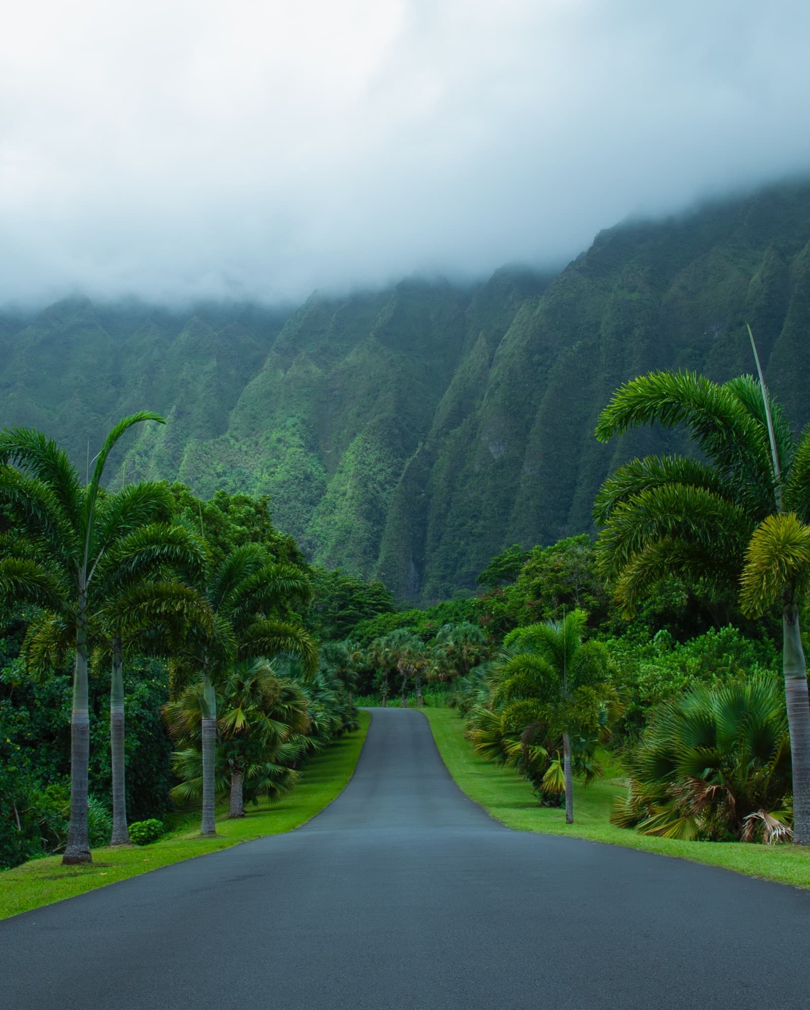 Landscape & Travel